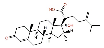 Chabrolosteroid F